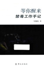 等你醒来 禁毒工作手记