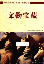 中国大百科全书 普及版 中国考古卷 文物宝藏