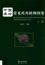 中国秦岭常见药用植物图鉴 上