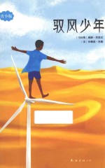 驭风少年 青少版