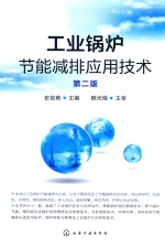 工业锅炉节能减排应用技术 第2版