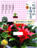 一粒种子的幸福生活 超简单创意无土种花草