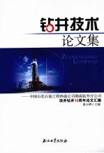 钻井技术论文集:中国石化石油工程西南公司湖南钻井分公司深井钻井10周年论文汇编