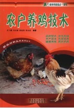农户养鸡技术