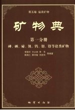 矿物典 (第五类 盐类矿物) 第1分册 砷、硒、碲、钒、钨、钼、铬等盐类矿物