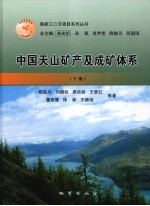 中国天山矿产及成矿体系 下