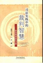 司法实践中的裁判智慧:新型疑难案件评释 下
