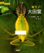 生命的故事 诞生了!大田鳖