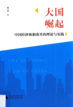 大国崛起 中国经济体制改革的理论与实践