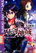 刀剑神域 19