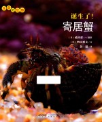 生命的故事 诞生了!寄居蟹