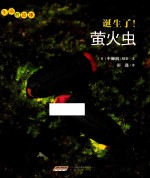 生命的故事 第3辑 诞生了!萤火虫