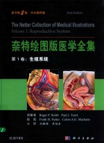 奈特绘图版医学全集 第1卷 生殖系统 原书第2版 中文翻译版