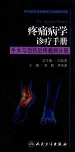 疼痛病学诊疗手册 手术与创伤后疼痛病分册