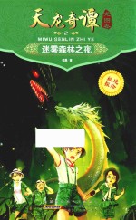 天龙奇谭 2 龙图卷 迷雾森林之夜