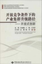 开放竞争条件下的产业集群升级路径 开放式创新