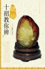 大众收藏系列图书 十招教你辨琥珀