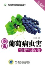 图说葡萄病虫害诊断与防治 全彩版