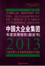 中国大企业集团年度发展报告(紫皮书) 2013