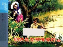 钢铁是怎样炼成的 下