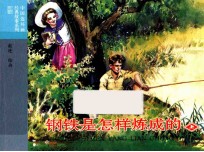 钢铁是怎样炼成的 上