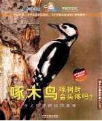 啄木鸟啄树时会头疼吗？ 令人吃惊的动物奥秘