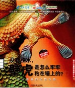 没有胶水，壁虎是怎么牢牢粘在墙上的？ 令人羡慕的动物本能