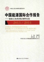 中国能源国际合作报告 能源文化的国际视野比较 2013/2014