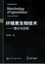 纤维素生物技术 理论与实践