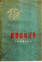 板栗栽培经验