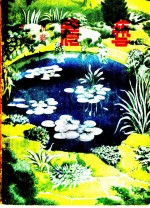 实用小工艺 第9集 农业