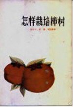怎样栽培柿树