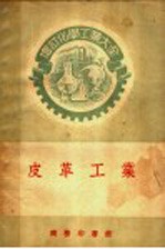 增订化学工业大全 皮革工业