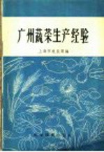 广州蔬菜生产经验