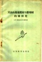 天山山坡地果园与葡萄园的梯田化