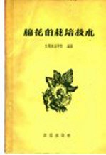 棉花的栽培技术