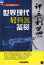 神兵利器 世界现代轻兵器鉴赏