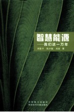 智慧能源 我们这一万年