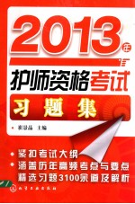 2013年护师资格考试习题集