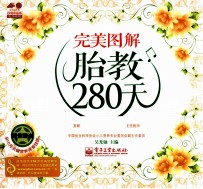 完美图解胎教280天