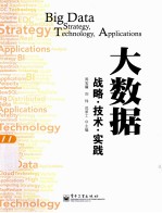 大数据 战略·技术·实践