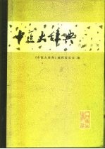 中医大辞典 试用本 内科分册