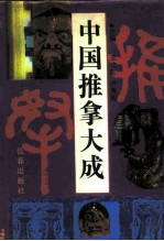 中国推拿大成