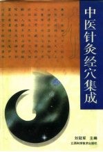 中医针灸经穴集成