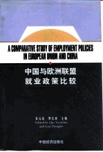 中国与欧洲联盟就业政策比较