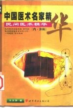 民间医术精华 内·外科