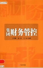 集团财务管控