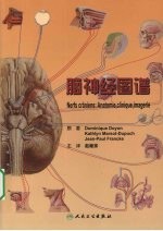 脑神经图谱