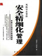 安全精细化管理:世界500强安全管理精要