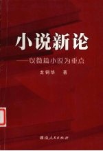 小说新论 以微篇小说为重点